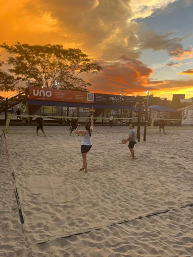 Arena Paz